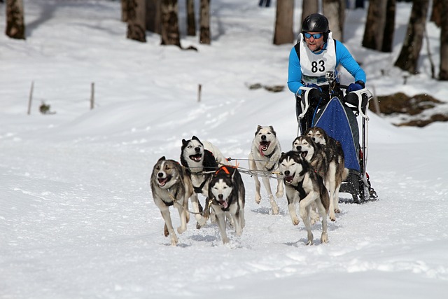 蒋光太能在 蒋光太能在